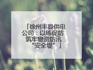 徐州丰县供电公司：以练促防 筑牢物资防汛“安全堤”