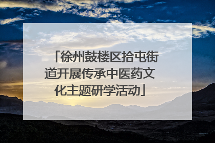 徐州鼓楼区拾屯街道开展传承中医药文化主题研学活动