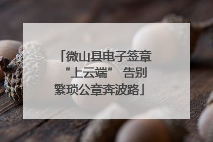 微山县电子签章“上云端” 告别繁琐公章奔波路