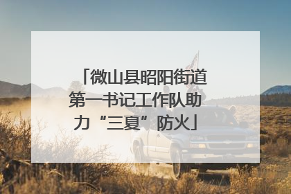 微山县昭阳街道第一书记工作队助力“三夏”防火