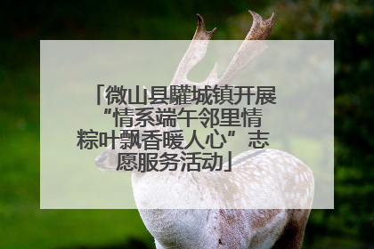 微山县驩城镇开展“情系端午邻里情 粽叶飘香暖人心”志愿服务活动
