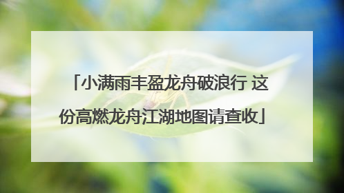 小满雨丰盈龙舟破浪行 这份高燃龙舟江湖地图请查收