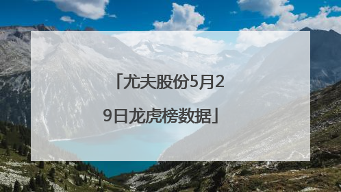 尤夫股份5月29日龙虎榜数据
