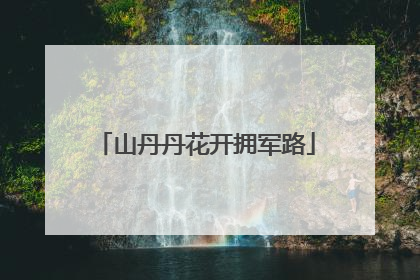 山丹丹花开拥军路