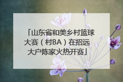 山东省和美乡村篮球大赛（村BA）在招远大户陈家火热开赛