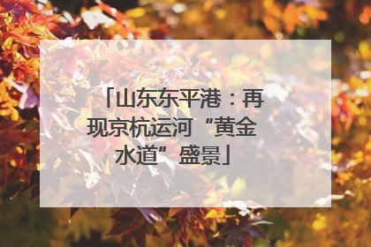 山东东平港：再现京杭运河“黄金水道”盛景