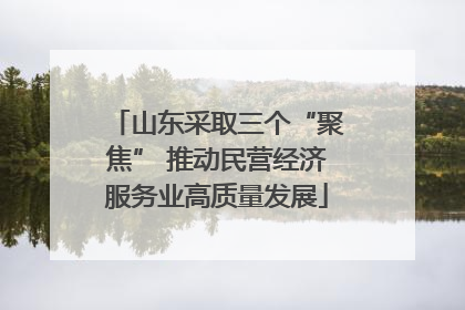 山东采取三个“聚焦” 推动民营经济服务业高质量发展