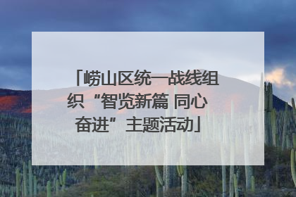 崂山区统一战线组织“智览新篇 同心奋进”主题活动