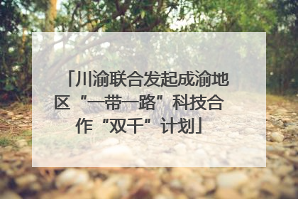 川渝联合发起成渝地区“一带一路”科技合作“双千”计划