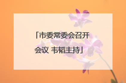 市委常委会召开会议 韦韬主持