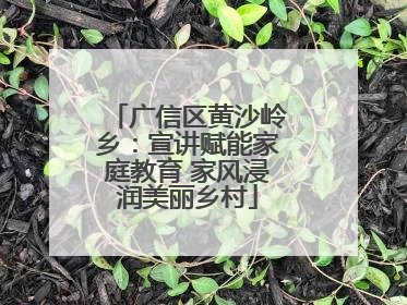 广信区黄沙岭乡：宣讲赋能家庭教育 家风浸润美丽乡村