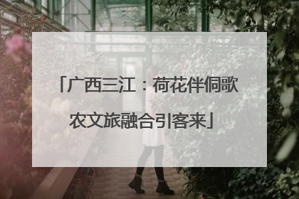 广西三江：荷花伴侗歌 农文旅融合引客来