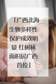 广西北海生物多样性保护成效明显 红树林面积居广西首位