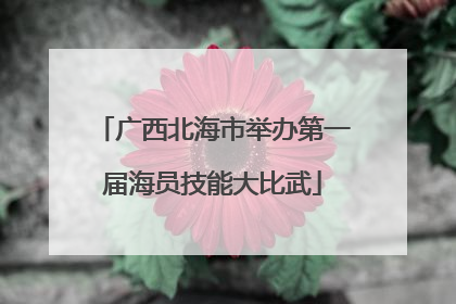 广西北海市举办第一届海员技能大比武