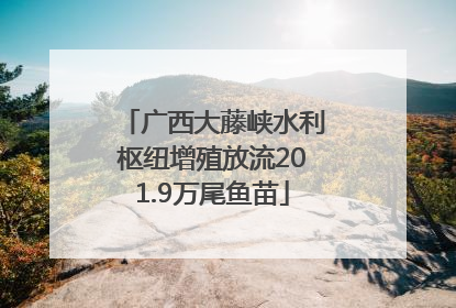 广西大藤峡水利枢纽增殖放流201.9万尾鱼苗