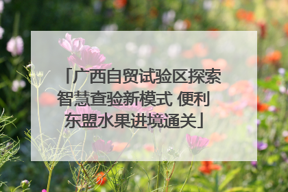 广西自贸试验区探索智慧查验新模式 便利东盟水果进境通关