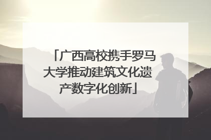 广西高校携手罗马大学推动建筑文化遗产数字化创新