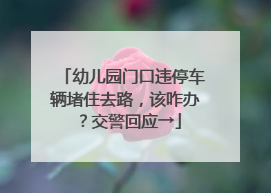 幼儿园门口违停车辆堵住去路，该咋办？交警回应→
