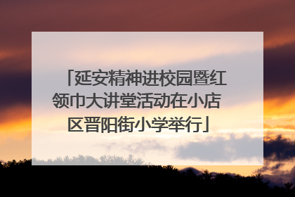 延安精神进校园暨红领巾大讲堂活动在小店区晋阳街小学举行