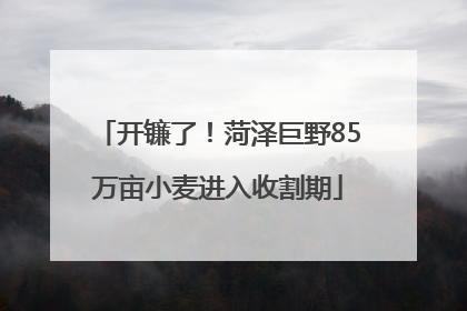 开镰了！菏泽巨野85万亩小麦进入收割期