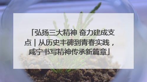 弘扬三大精神 奋力建成支点｜从历史丰碑到青春实践，咸宁书写精神传承新篇章