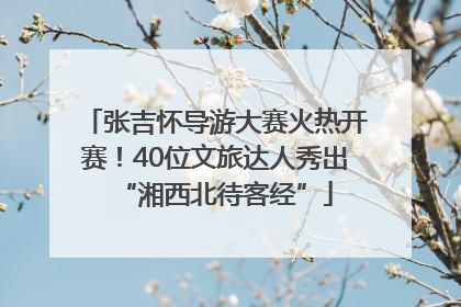 张吉怀导游大赛火热开赛！40位文旅达人秀出“湘西北待客经”