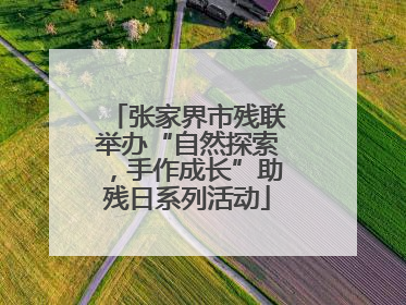 张家界市残联举办“自然探索，手作成长”助残日系列活动