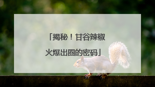 揭秘！甘谷辣椒火爆出圈的密码