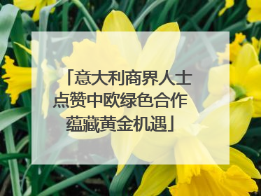 意大利商界人士点赞中欧绿色合作蕴藏黄金机遇