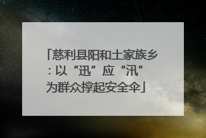 慈利县阳和土家族乡：以“迅”应“汛” 为群众撑起安全伞
