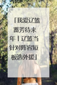 我爱辽篮 蓄芳待来年丨辽篮当针对阵容短板选外援
