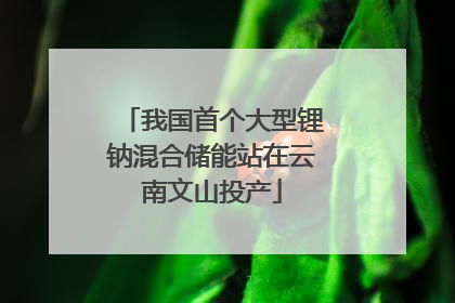 我国首个大型锂钠混合储能站在云南文山投产