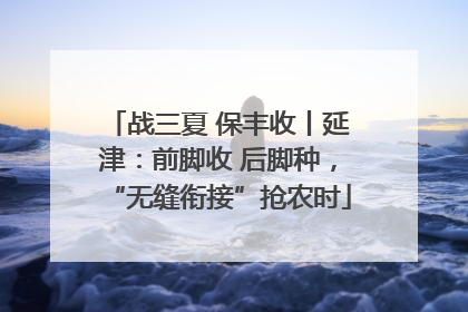 战三夏 保丰收丨延津：前脚收 后脚种，“无缝衔接”抢农时