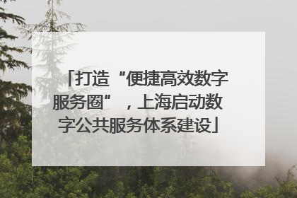 打造“便捷高效数字服务圈”，上海启动数字公共服务体系建设