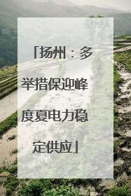 扬州：多举措保迎峰度夏电力稳定供应