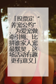 投票定“养宠公约”、为爱宠做牵引绳、比拼谁家人宠最默契，这场活动有趣更有意义