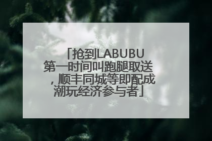 抢到LABUBU第一时间叫跑腿取送，顺丰同城等即配成潮玩经济参与者