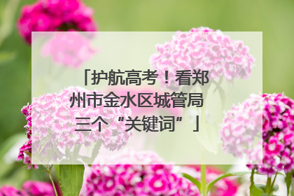 护航高考！看郑州市金水区城管局三个“关键词”