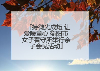 持微光成炬 让爱暖童心 衡阳市女子看守所举行亲子会见活动