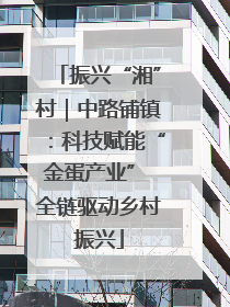 振兴“湘”村｜中路铺镇：科技赋能“金蛋产业” 全链驱动乡村振兴