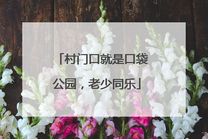 村门口就是口袋公园，老少同乐
