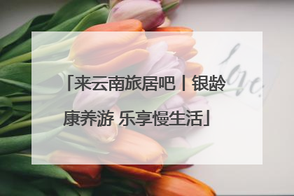 来云南旅居吧丨银龄康养游 乐享慢生活