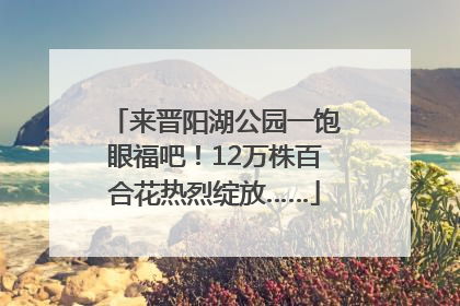 来晋阳湖公园一饱眼福吧！12万株百合花热烈绽放……