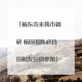杨东奇来我市调研 杨国强陈必昌田和友分别参加
