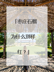 枣庄石榴为什么别样红？