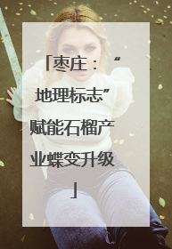 枣庄：“地理标志”赋能石榴产业蝶变升级