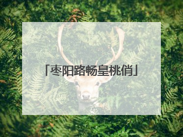 枣阳路畅皇桃俏