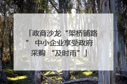 政商沙龙“架桥铺路” 中小企业享受政府采购 “及时雨”