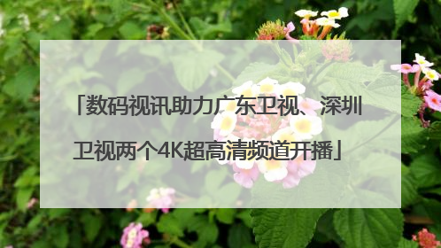 数码视讯助力广东卫视、深圳卫视两个4K超高清频道开播