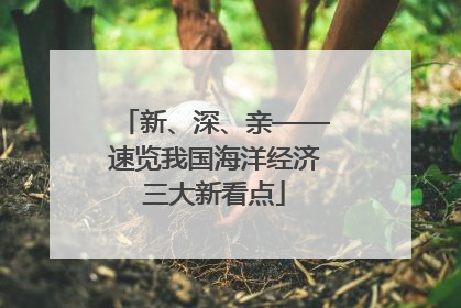 新、深、亲——速览我国海洋经济三大新看点